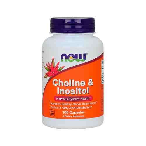 Холин и инозитол для здоровья нервной системы Now Choline and Inositolарт. ID: 969466