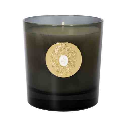 Парфюмированная свеча Tiziana Terenzi Halley Black Glass Candleарт. ID: 959234