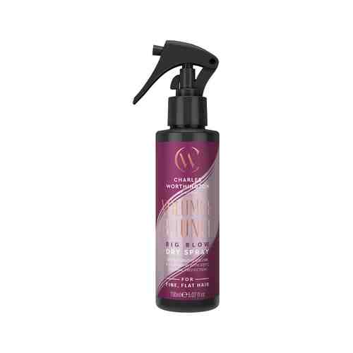 Термозащитный спрей для укладки, ускоряющий сушку волос Charles Worthington Volume & Bounce Big Blow Dry Sprayарт. ID: 967609