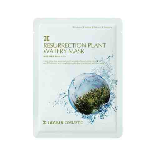 Восстанавливающая тканевая маска с экстрактом иерихонской розы JayJun Resurrection Plant Watery Maskарт. ID: 948825